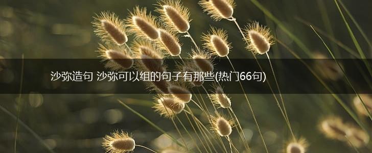 沙弥造句 沙弥可以组的句子有那些(热门66句),第1张
