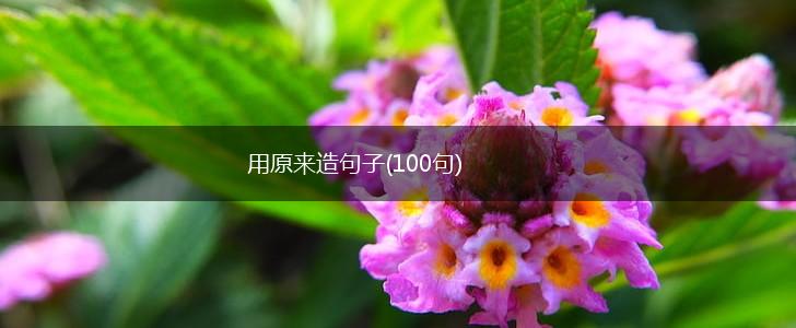 用原来造句子(100句),第1张