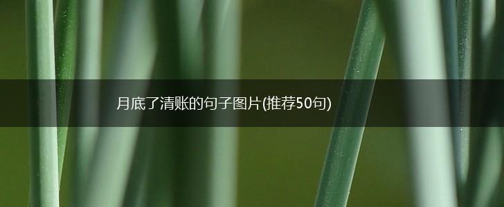 月底了清账的句子图片(推荐50句),第1张