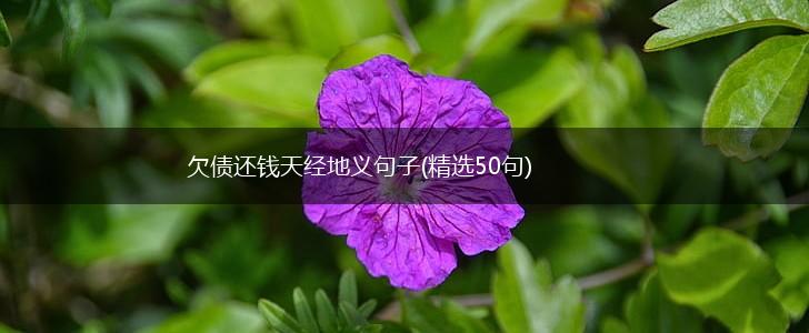 欠债还钱天经地义句子(精选50句),第1张