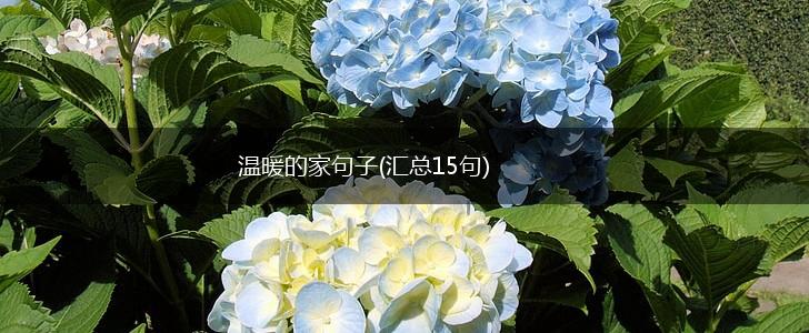 温暖的家句子(汇总15句),第1张