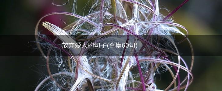放弃爱人的句子(合集60句),第1张