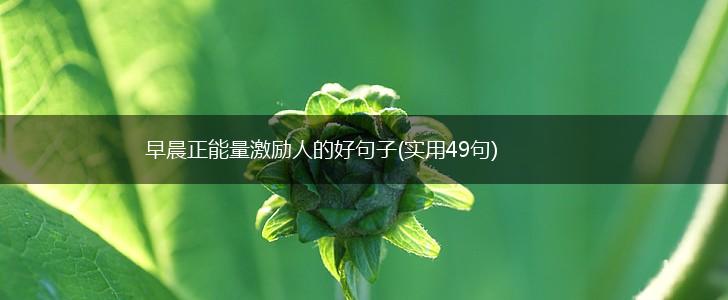 早晨正能量激励人的好句子(实用49句),第1张
