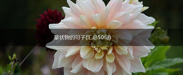 摹状物的句子(汇总50句),第1张