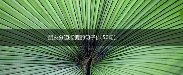 朋友分道扬镳的句子(共50句),第1张