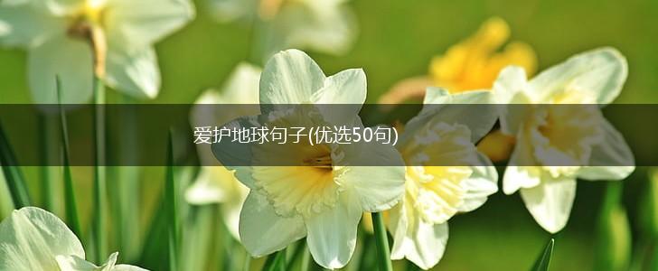 爱护地球句子(优选50句),第1张