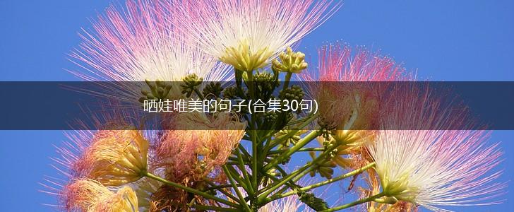 晒娃唯美的句子(合集30句),第1张