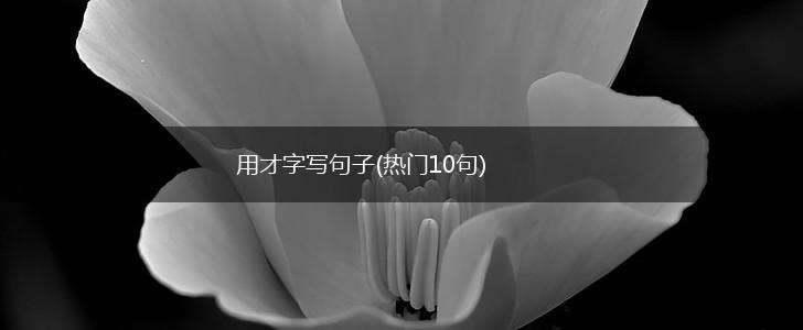 用才字写句子(热门10句),第1张