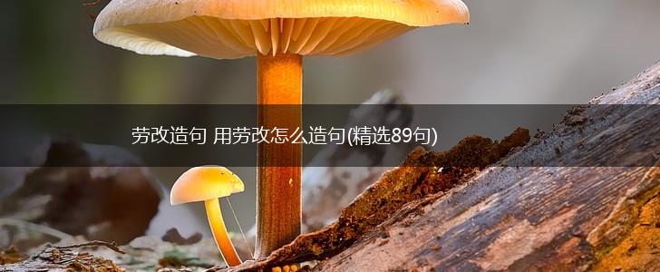 劳改造句 用劳改怎么造句(精选89句),第1张