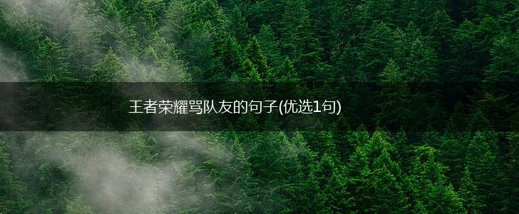王者荣耀骂队友的句子(优选1句),第1张