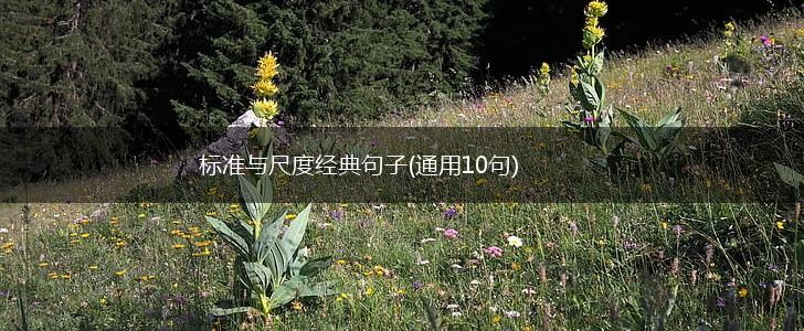 标准与尺度经典句子(通用10句),第1张
