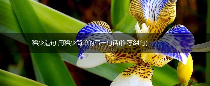 稀少造句 用稀少简单的写一句话(推荐84句),第1张