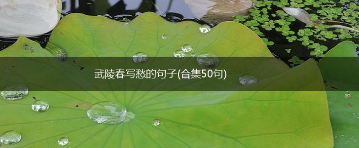 武陵春写愁的句子(合集50句),第1张