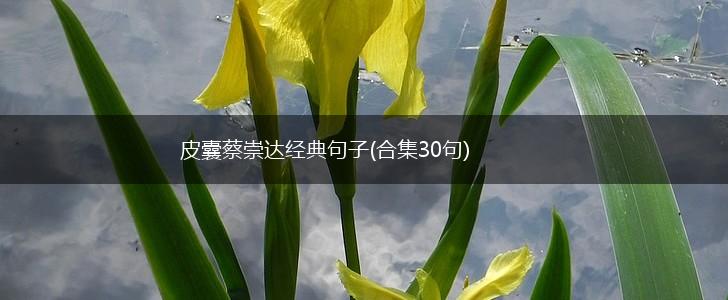 皮囊蔡崇达经典句子(合集30句),第1张