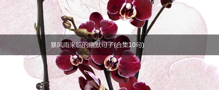 暴风雨来临的幽默句子(合集10句),第1张