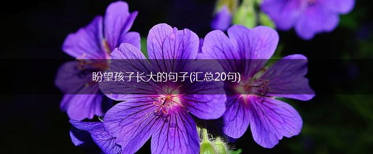 盼望孩子长大的句子(汇总20句),第1张
