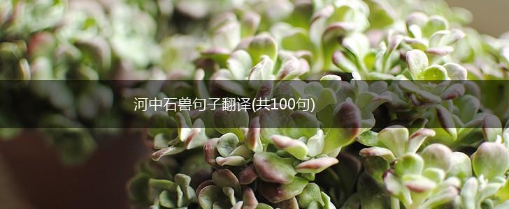 河中石兽句子翻译(共100句),第1张
