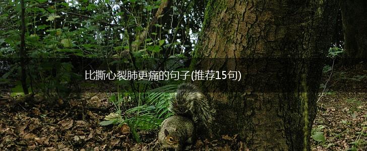 比撕心裂肺更痛的句子(推荐15句),第1张