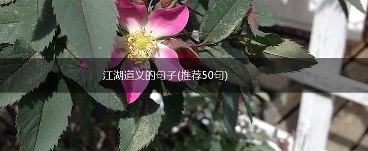 江湖道义的句子(推荐50句),第1张