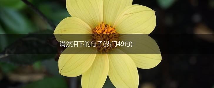 潸然泪下的句子(热门49句),第1张