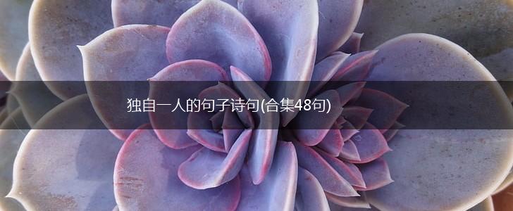 独自一人的句子诗句(合集48句),第1张