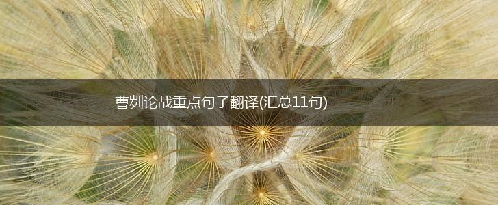 曹刿论战重点句子翻译(汇总11句),第1张