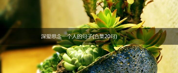 深爱思念一个人的句子(合集20句),第1张