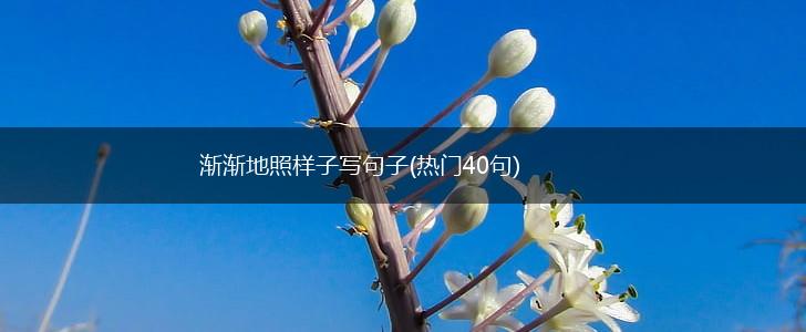 渐渐地照样子写句子(热门40句),第1张