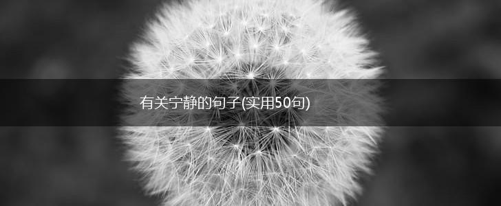 有关宁静的句子(实用50句),第1张