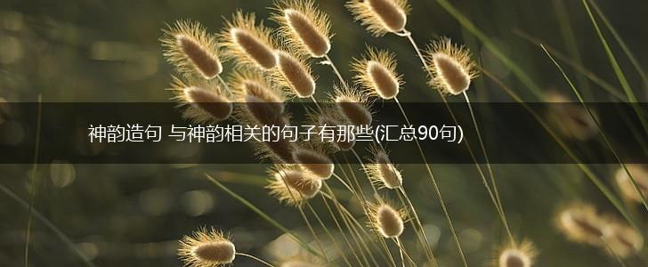 神韵造句 与神韵相关的句子有那些(汇总90句),第1张