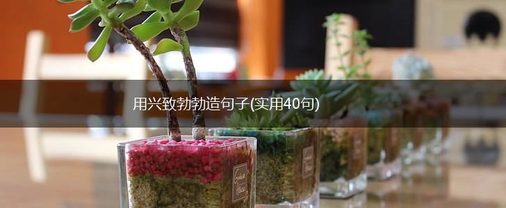 用兴致勃勃造句子(实用40句),第1张