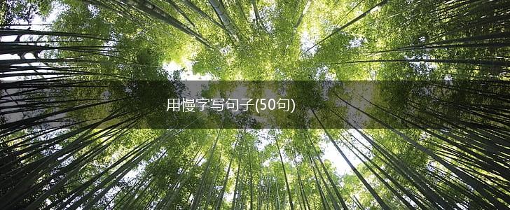 用慢字写句子(50句),第1张