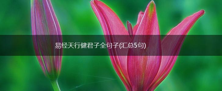易经天行健君子全句子(汇总5句),第1张
