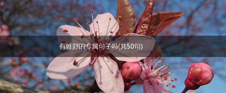 有姓舒的专属句子吗(共50句),第1张