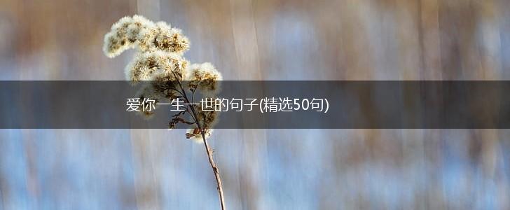 爱你一生一世的句子(精选50句),第1张