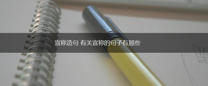 宣称造句 有关宣称的句子有那些,第1张
