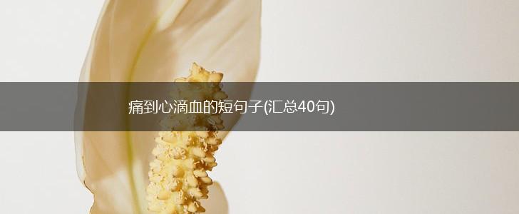 痛到心滴血的短句子(汇总40句),第1张
