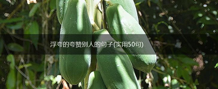 浮夸的夸赞别人的句子(实用50句),第1张
