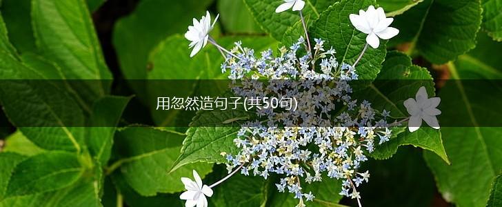 用忽然造句子(共50句),第1张