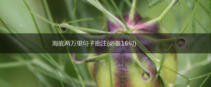 海底两万里句子批注(必备16句),第1张