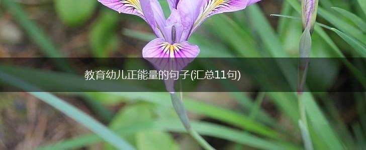 教育幼儿正能量的句子(汇总11句),第1张