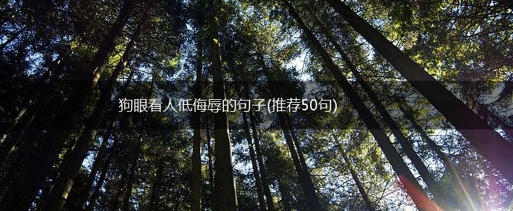 狗眼看人低侮辱的句子(推荐50句),第1张