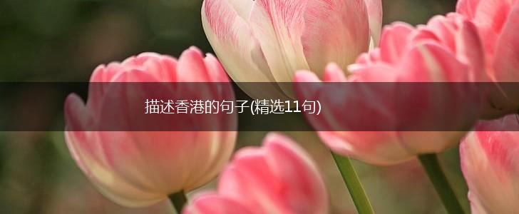 描述香港的句子(精选11句),第1张