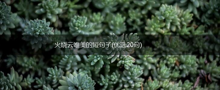 火烧云唯美的短句子(优选20句),第1张