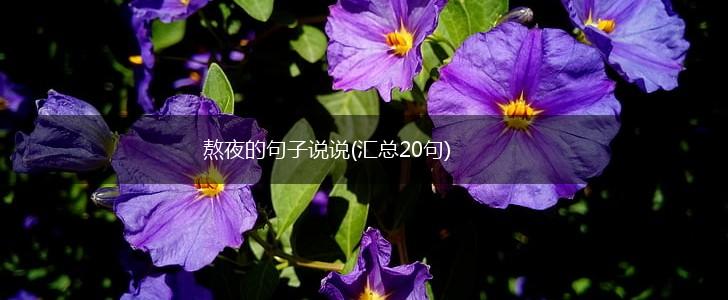 熬夜的句子说说(汇总20句),第1张