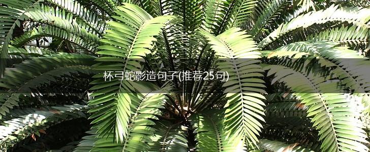 杯弓蛇影造句子(推荐25句),第1张