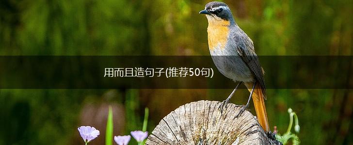 用而且造句子(推荐50句),第1张
