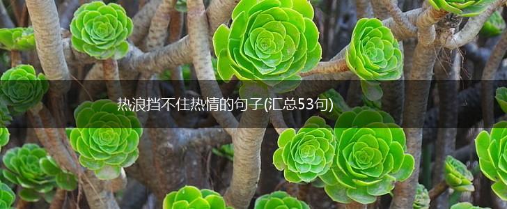热浪挡不住热情的句子(汇总53句),第1张