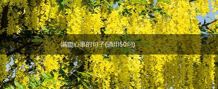 满腹心事的句子(通用50句),第1张