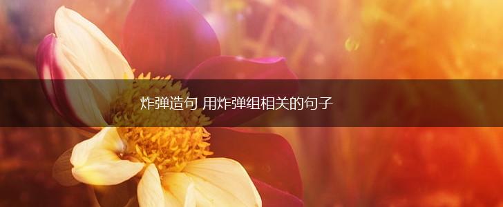炸弹造句 用炸弹组相关的句子,第1张